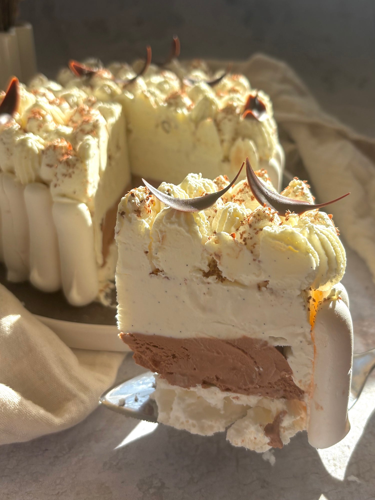 Vacherin chocolat noir et vanille de Madagascar