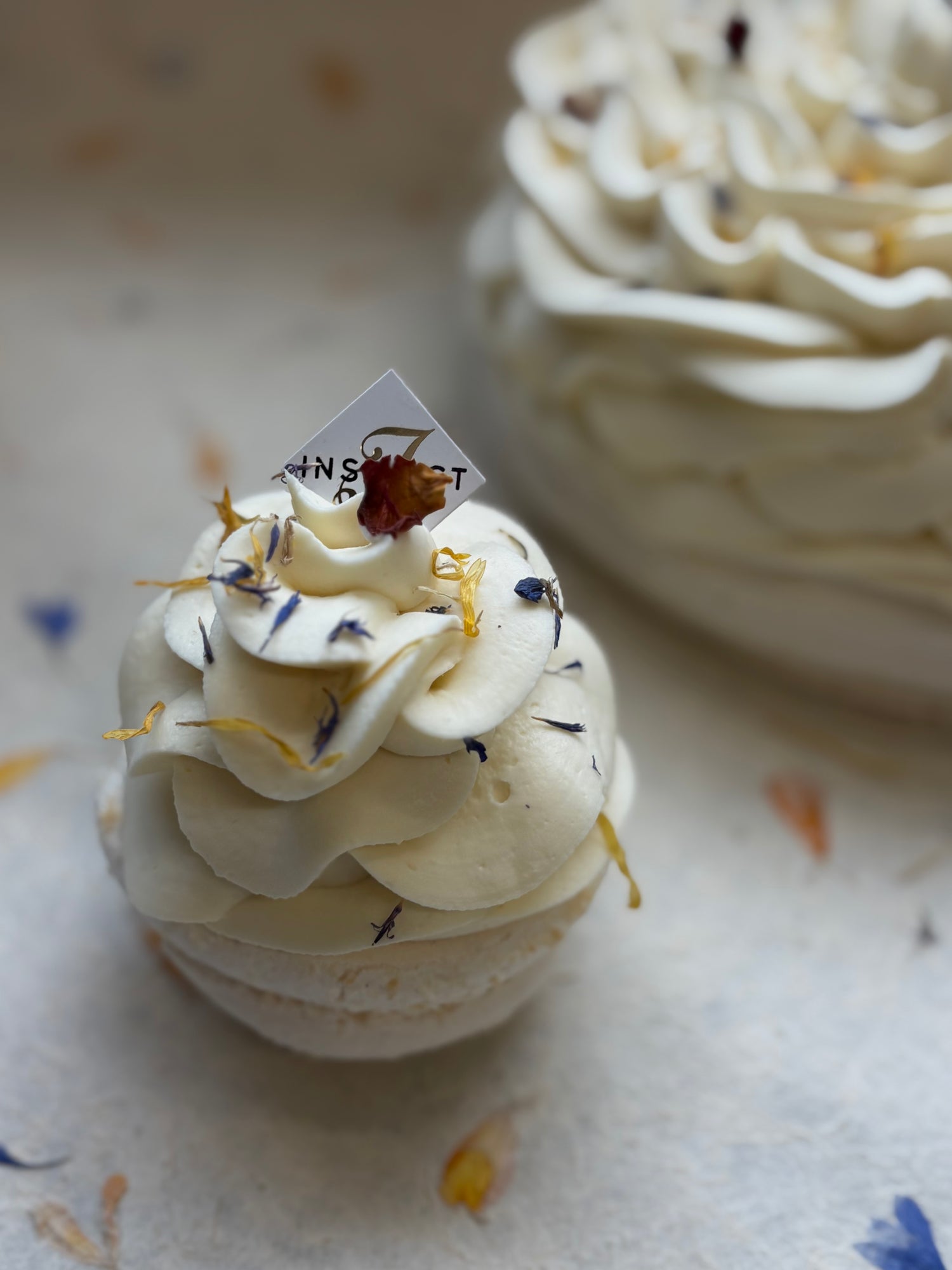 Pavlova Hivernale