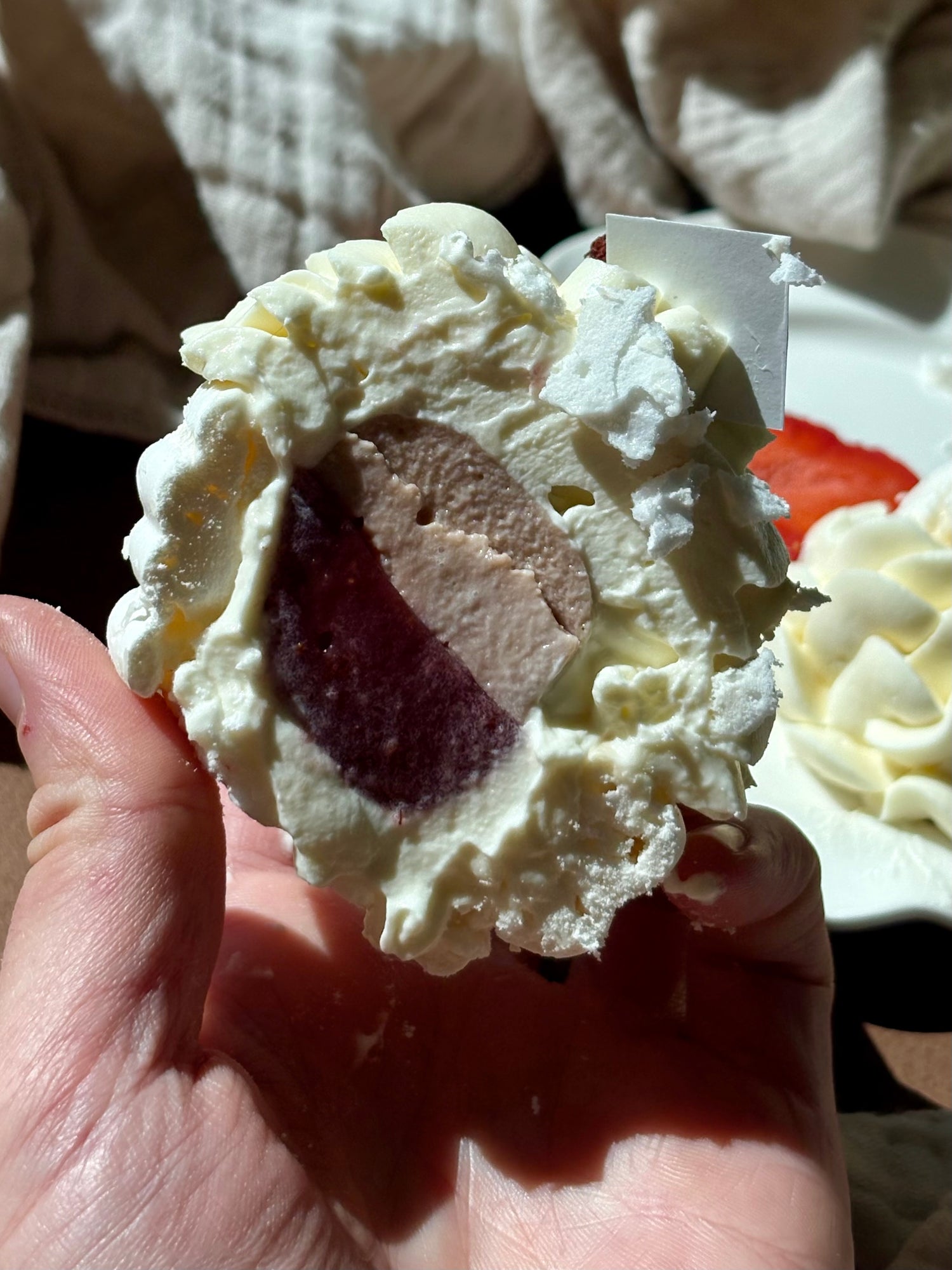 Pavlova Printanière