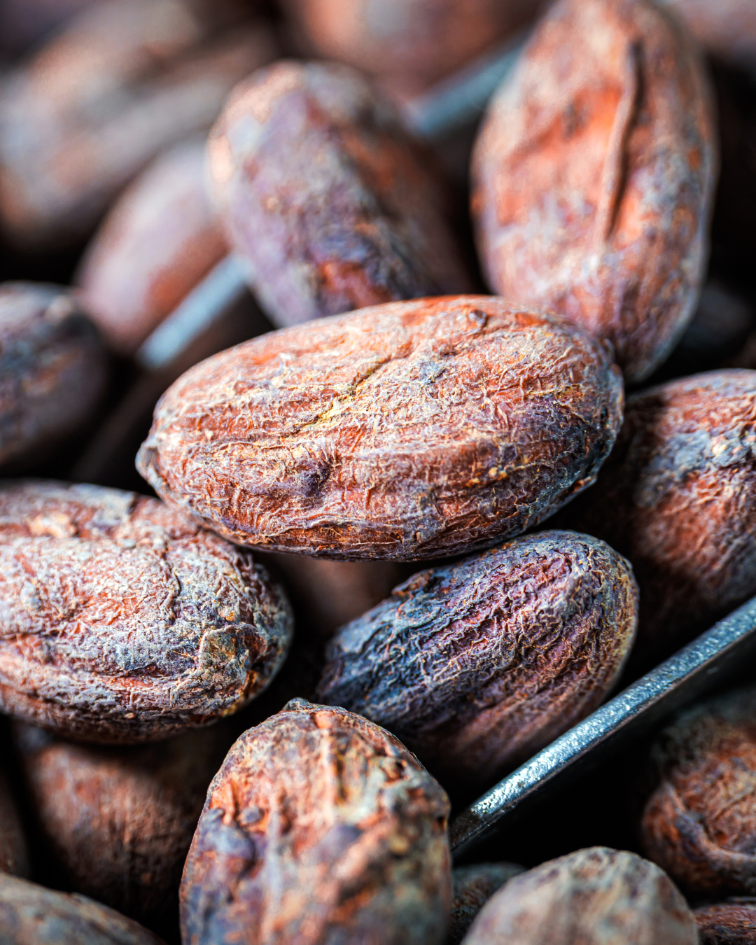 Tablette Trinidad et Tobago 75 % Bean to Bar